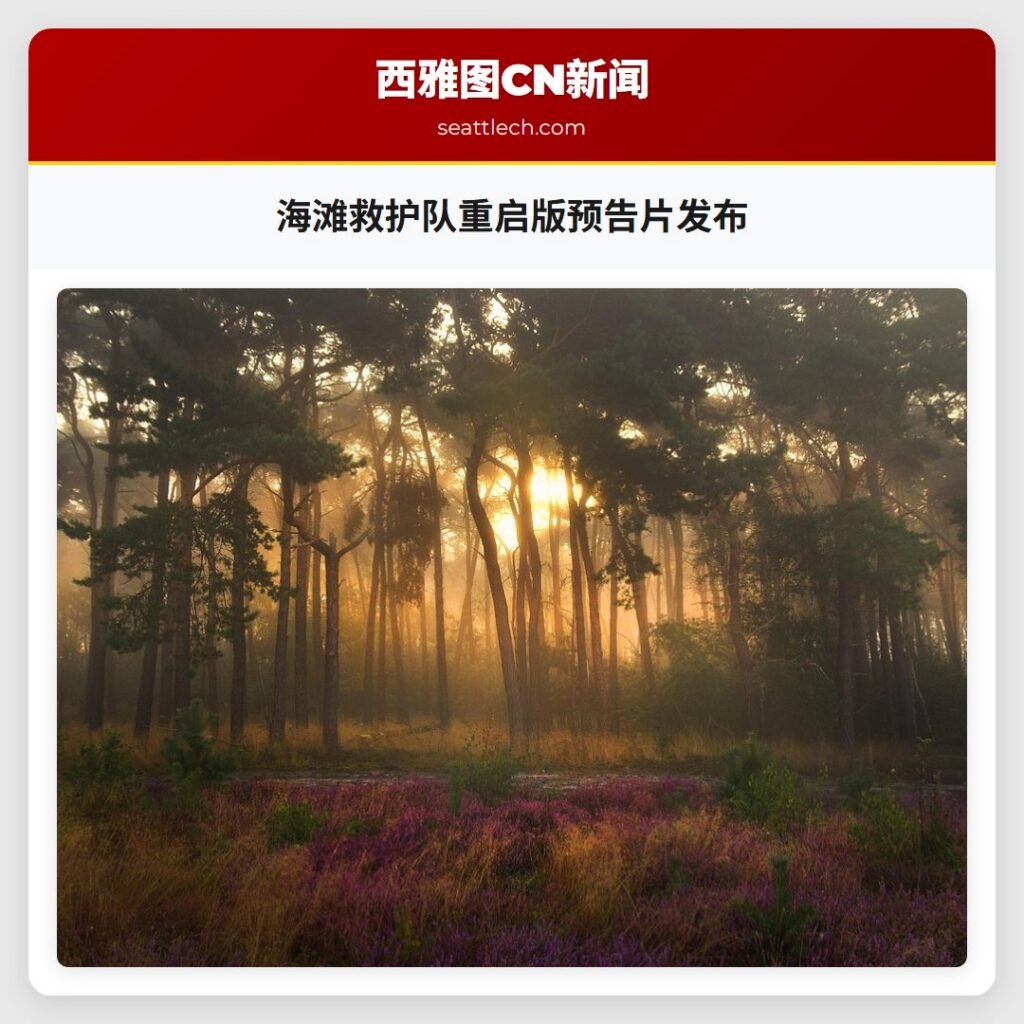 海滩救护队重启版预告片发布