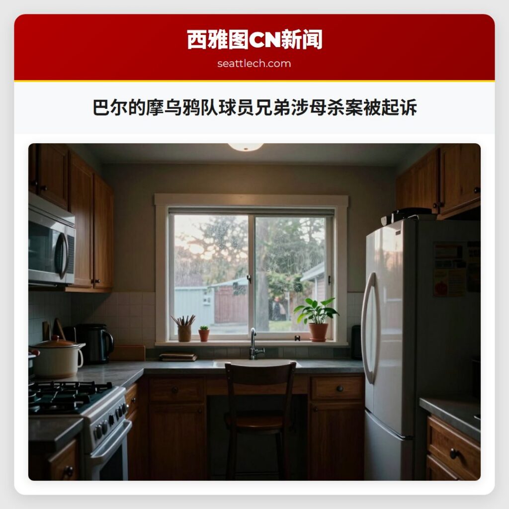 巴尔的摩乌鸦队球员兄弟涉母杀案被起诉