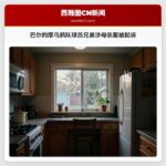 巴尔的摩乌鸦队球员兄弟涉母杀案被起诉