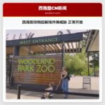 西雅图动物园解除炸弹威胁 正常开放