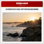 加州放射科医生完成心理干预项目后指控被撤销