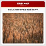 奇兰山火灾摧毁19户家庭 新房主亦在其中