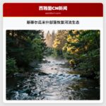 斯蒂尔瓜米什部落恢复河流生态