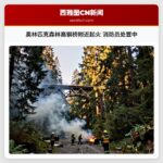 奥林匹克森林高钢桥附近起火 消防员处置中