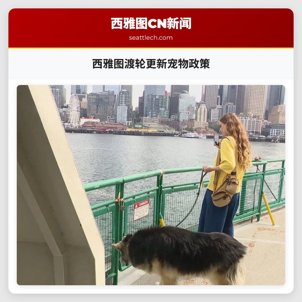 西雅图渡轮更新宠物政策