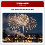 奥克港烟花事故致男子手部重伤