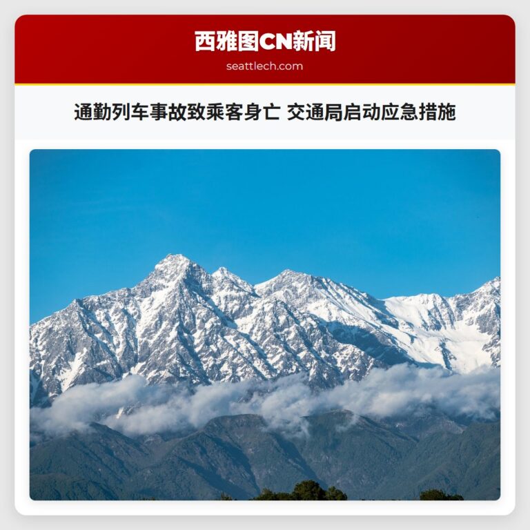 通勤列车事故致乘客身亡 交通局启动应急措施