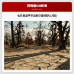 七月高温干旱加剧华盛顿野火风险