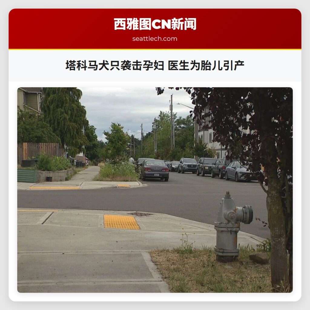 塔科马犬只袭击孕妇 医生为胎儿引产