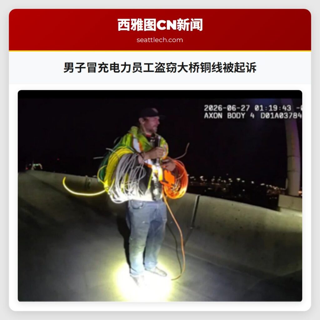 男子冒充电力员工盗窃大桥铜线被起诉
