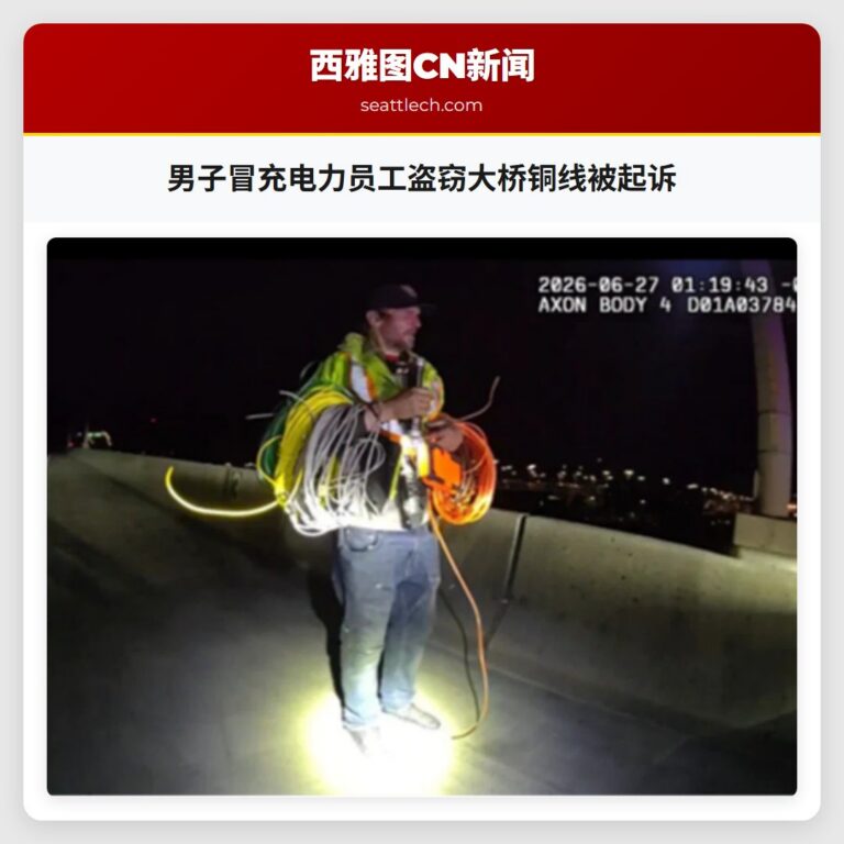 男子冒充电力员工盗窃大桥铜线被起诉