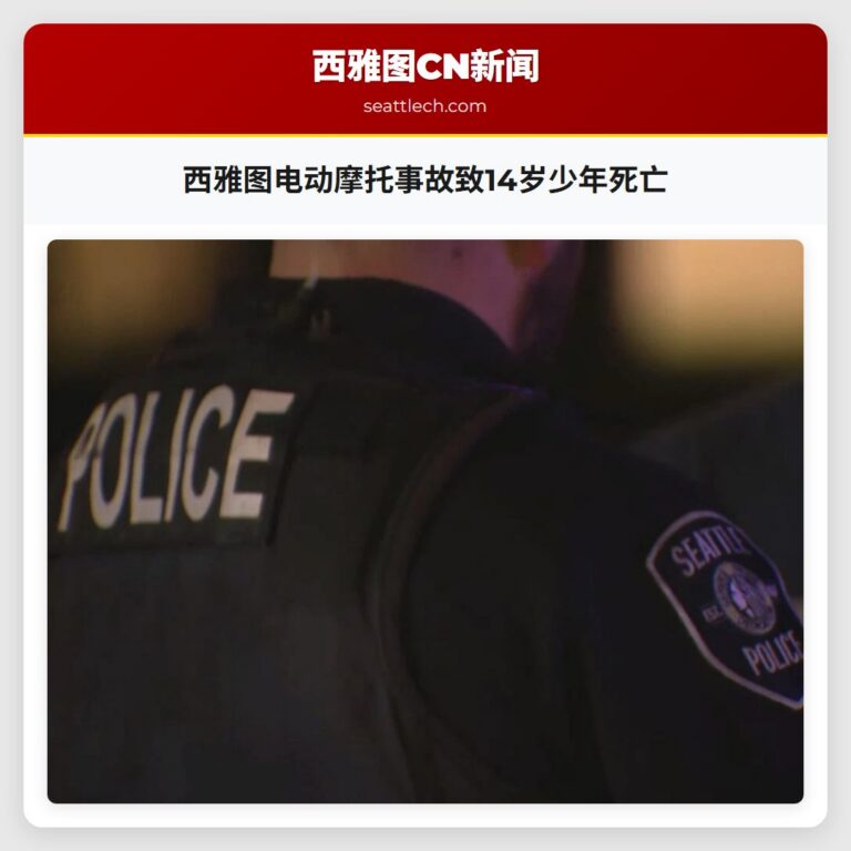 西雅图电动摩托事故致14岁少年死亡