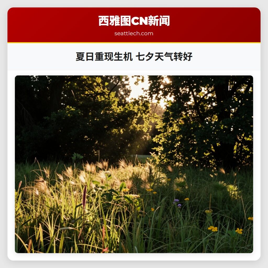 夏日重现生机 七夕天气转好