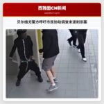 贝尔维尤警方呼吁市民协助调查未遂刺杀案